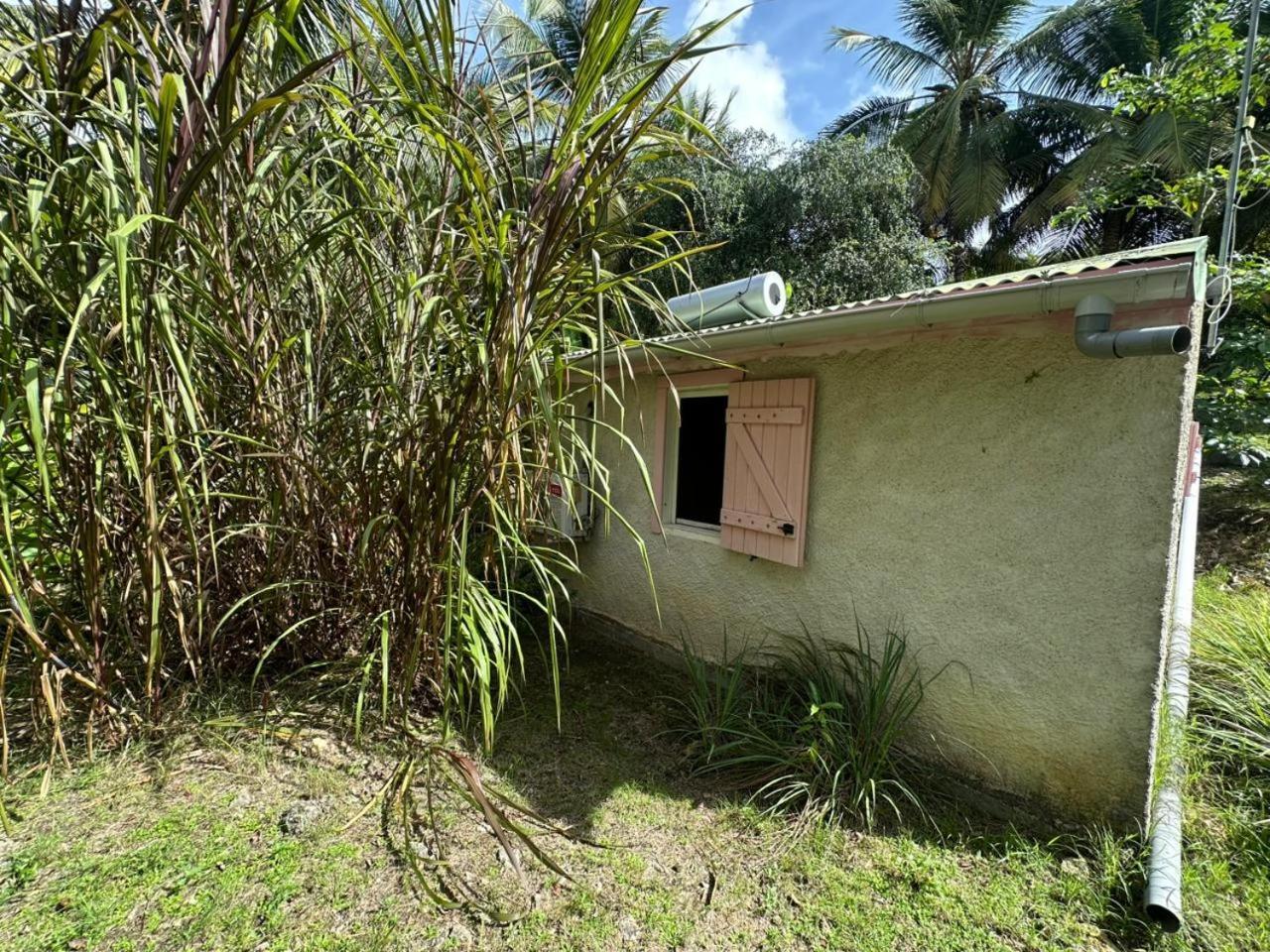 Villa Gwada Reves Sainte-Anne  Exterior foto