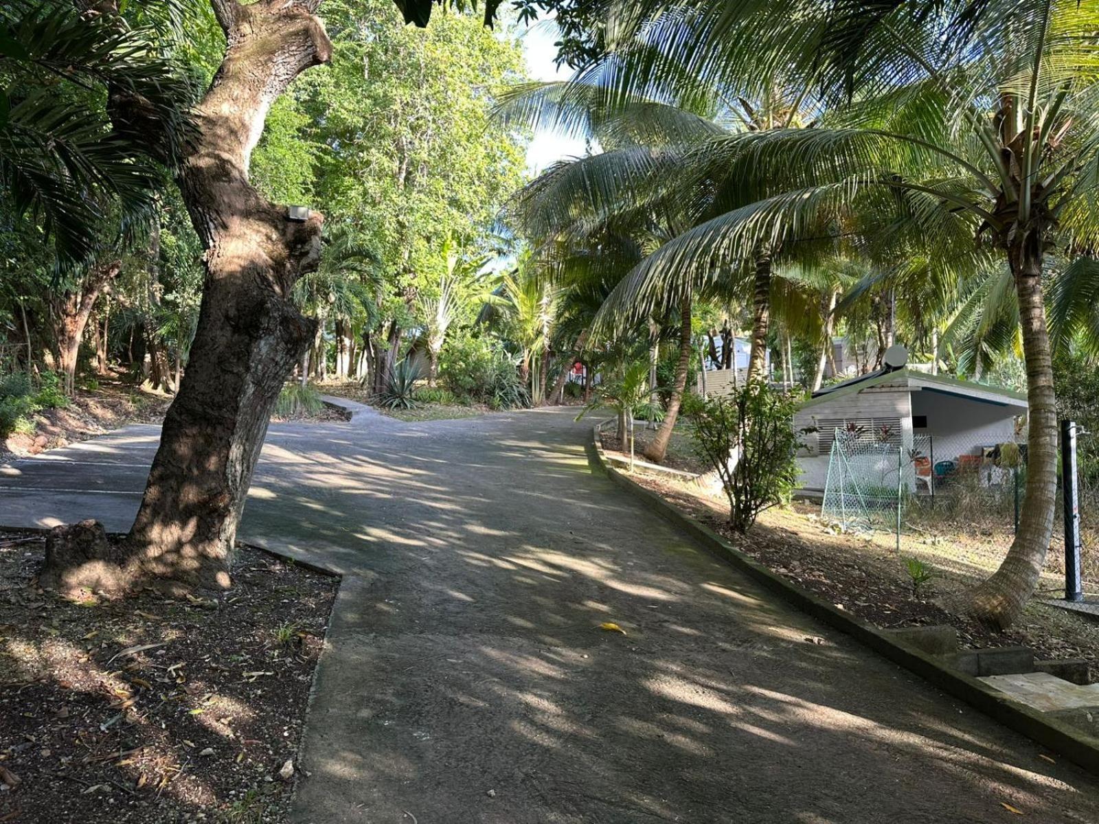 Villa Gwada Reves Sainte-Anne  Exterior foto