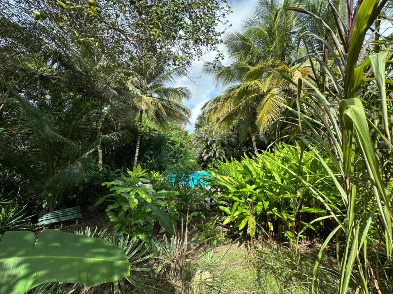 Villa Gwada Reves Sainte-Anne  Exterior foto